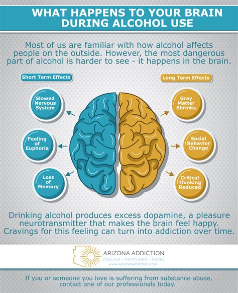 does alcohol affect cognitive development